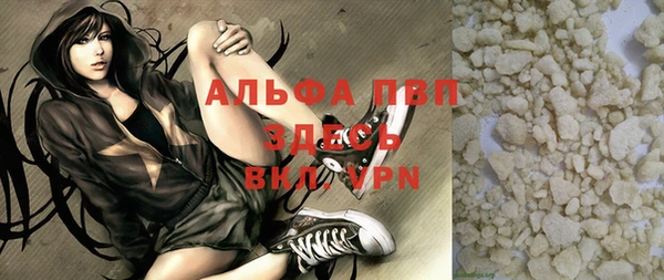 крисы Алзамай