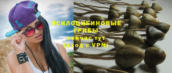 ешки Армянск