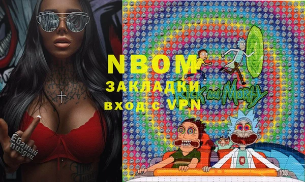 сатива Алексеевка