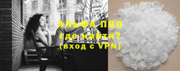 крисы Алзамай