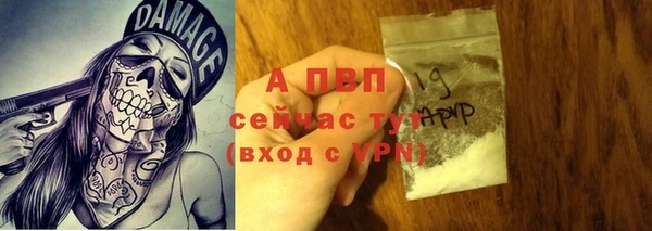 соль ск Алексин