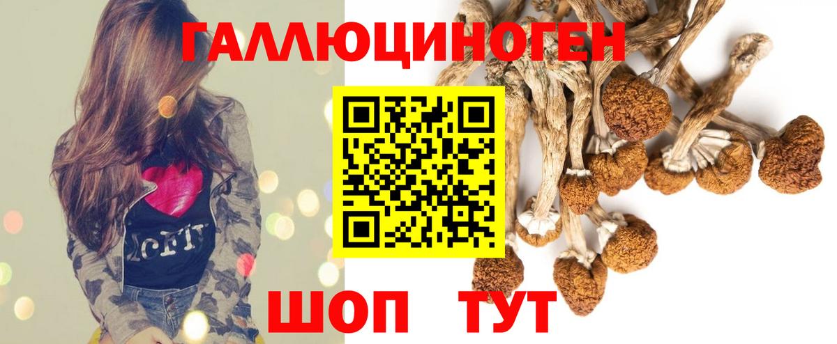 Галлюциногенные грибы Psilocybe  Псилоцибиновые грибы мухоморы  Котлас  где купить наркоту  Вход с VPN 